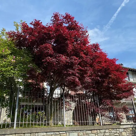 La Casa Di Nina - Traves * Pessinetto