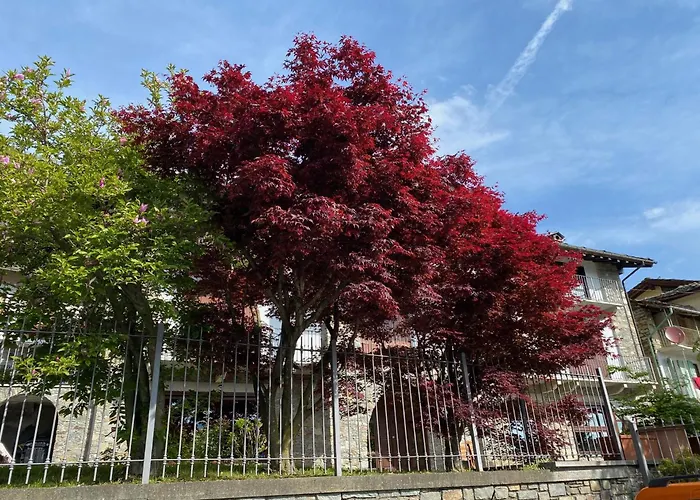 La Casa Di Nina - Traves * Pessinetto